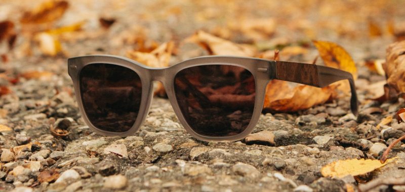 Ankeny Acetate Sunglasses - Image 15