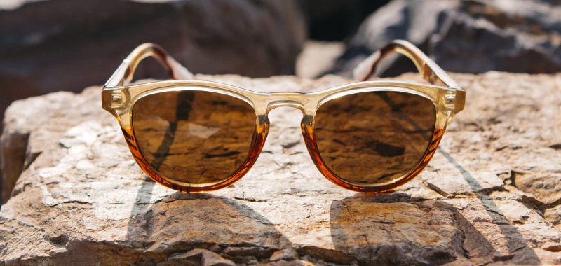 Francis ACTV Sunglasses - Image 4