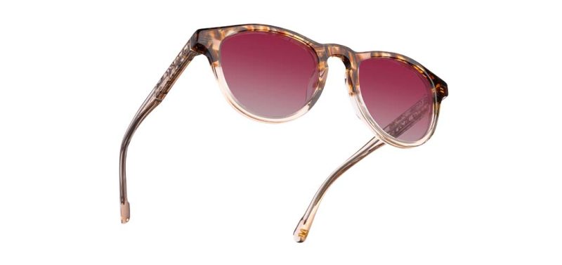 Francis Acetate Sunglasses - Image 48