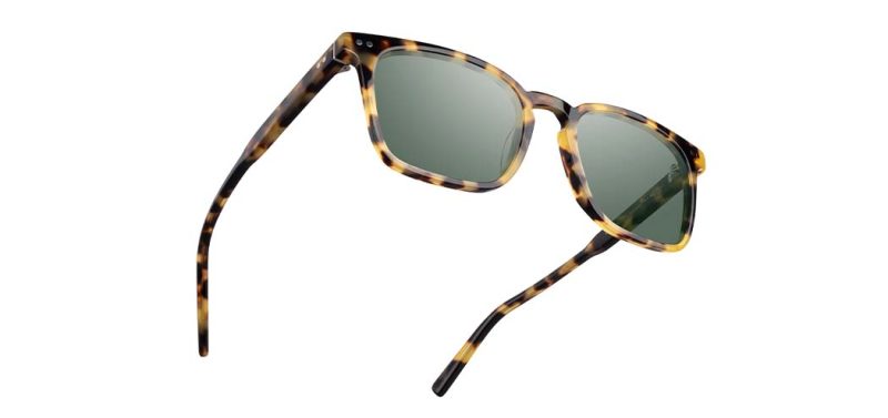 Hamilton Acetate Sunglasses - Image 4