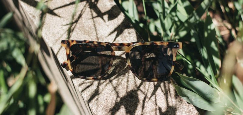 Hamilton Acetate Sunglasses - Image 6