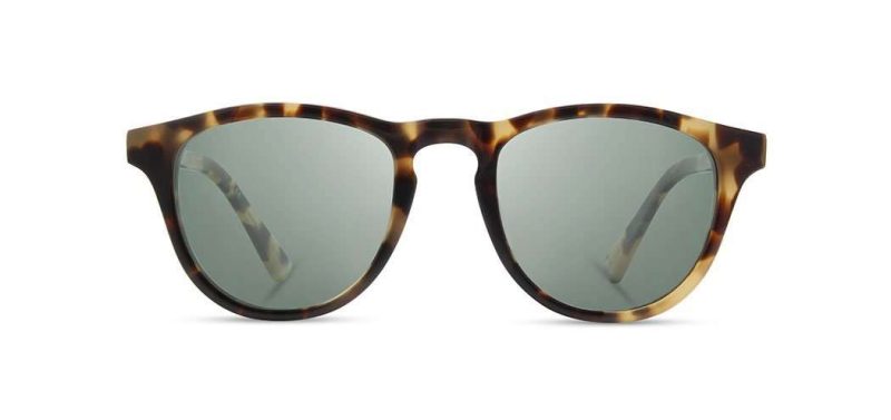 Francis Acetate Sunglasses - Image 14